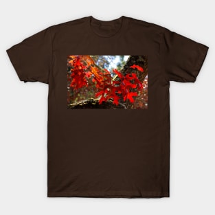 A Touch of Autumn T-Shirt